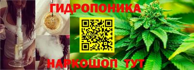 молекула духа Пыть-Ях