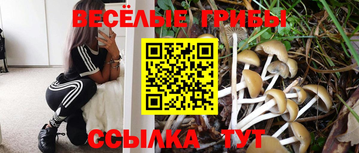 наркотики  Вход с VPN  Рубцовск  Галлюциногенные грибы MAGIC MUSHROOMS  Псилоцибиновые грибы прущие грибы 